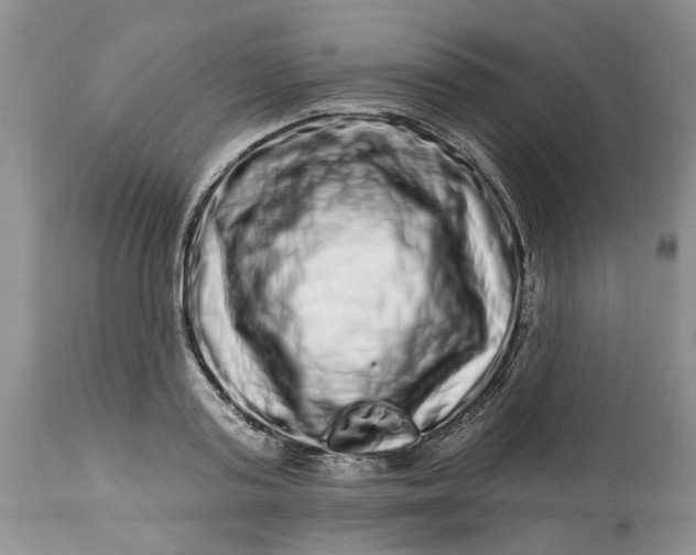 X0000114210795200910231405