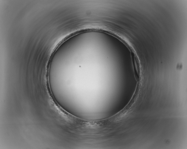 X0000114210799200910231405