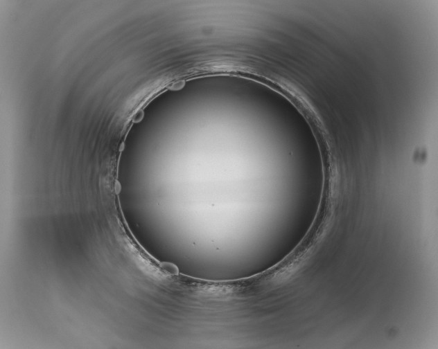 X0000114210801200910231405