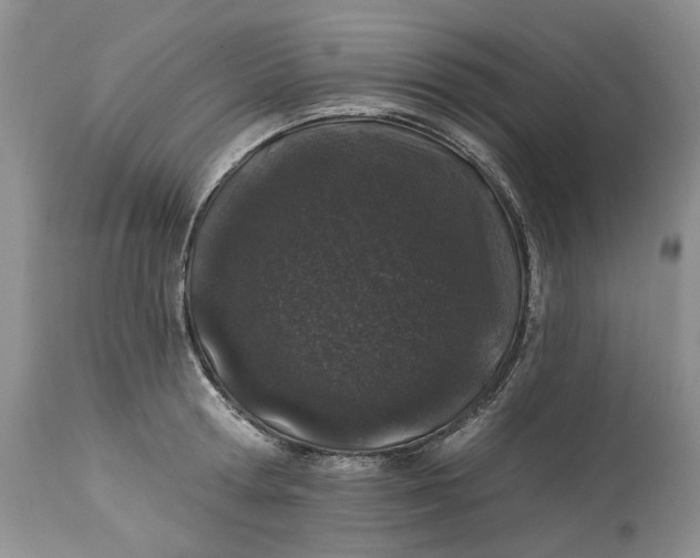 X0000114210802200910231405