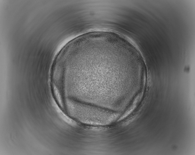 X0000114210803200910231405