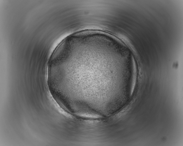 X0000114210804200910231405