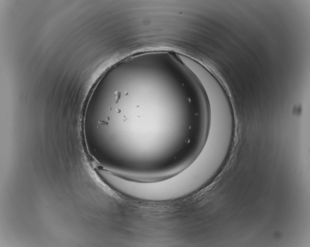 X0000114210805200910231405