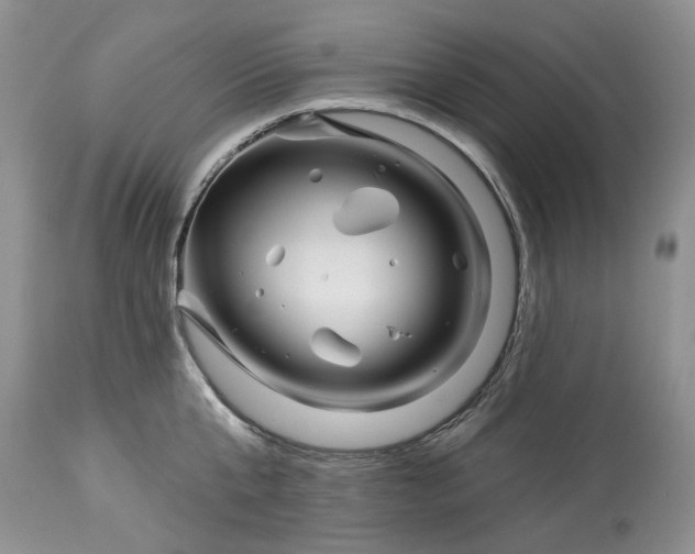 X0000114210807200910231405