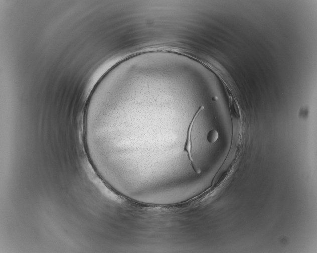 X0000114210812200910231405