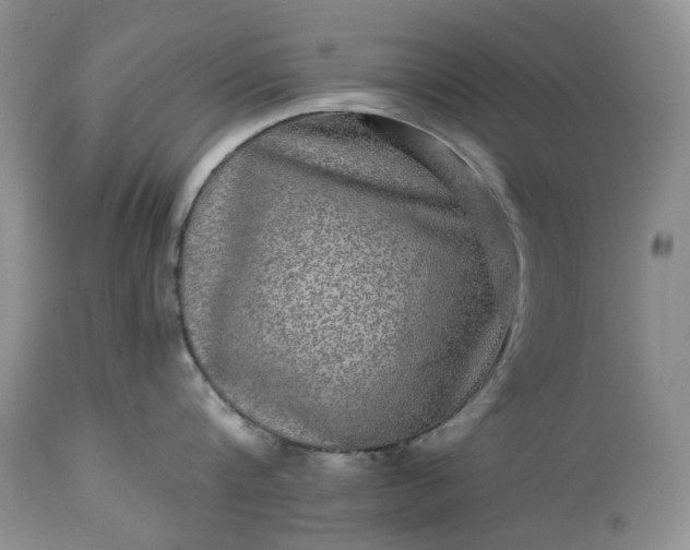 X0000114210816200910231405