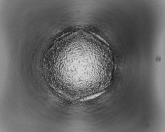 X0000114210817200910231404
