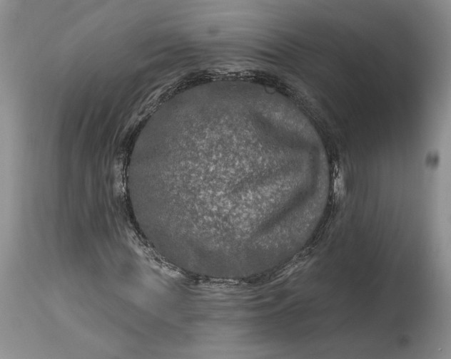 X0000114210819200910231404