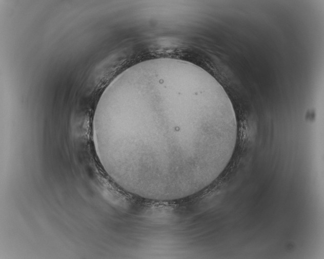 X0000114210820200910231404