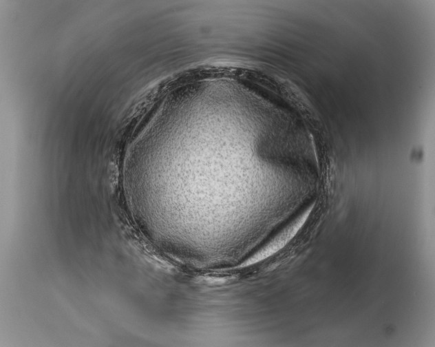 X0000114210821200910231404