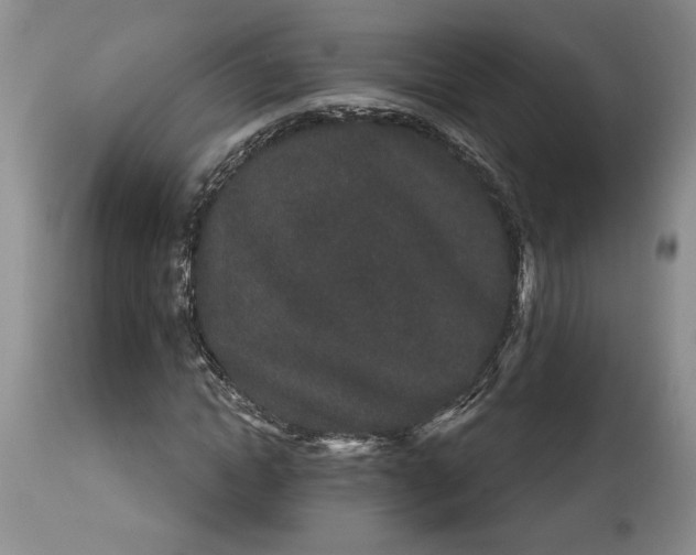 X0000114210822200910231404