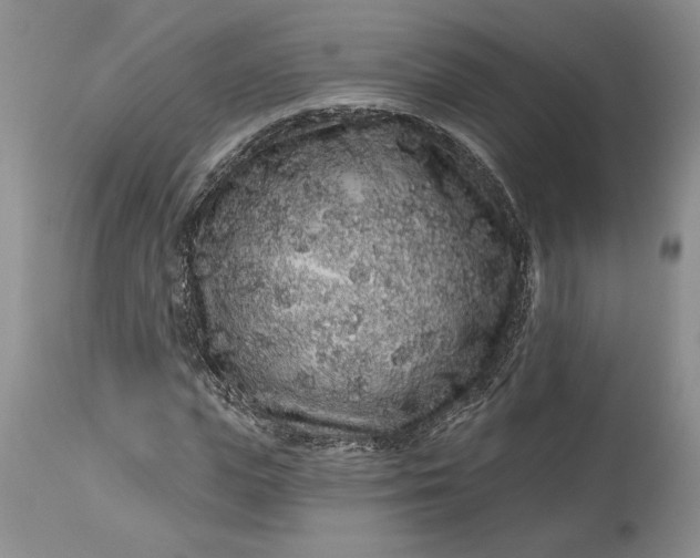 X0000114210823200910231404