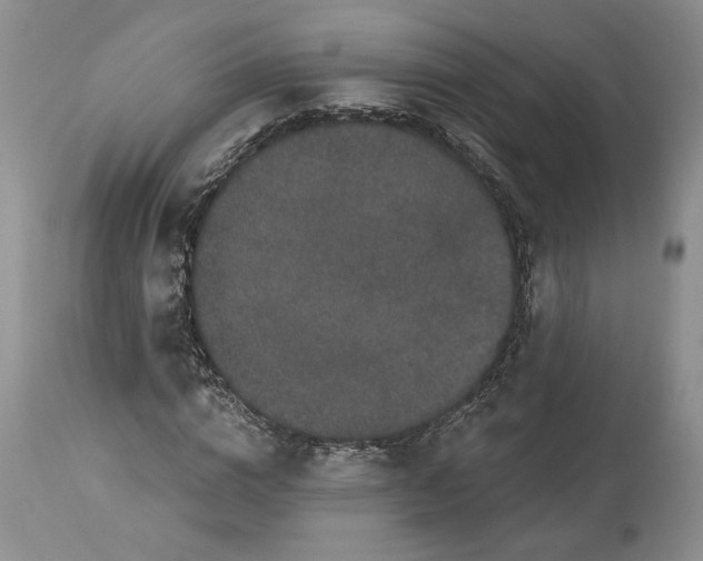 X0000114210824200910231404