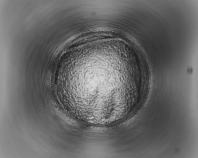 X0000114210825200910231404