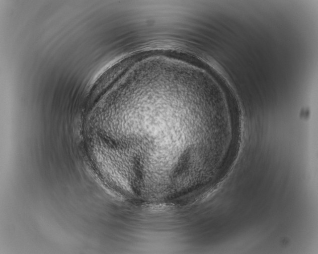 X0000114210826200910231404