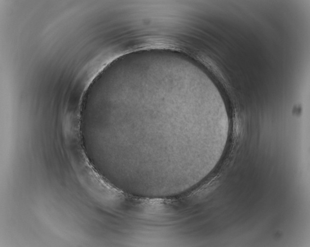 X0000114210828200910231404