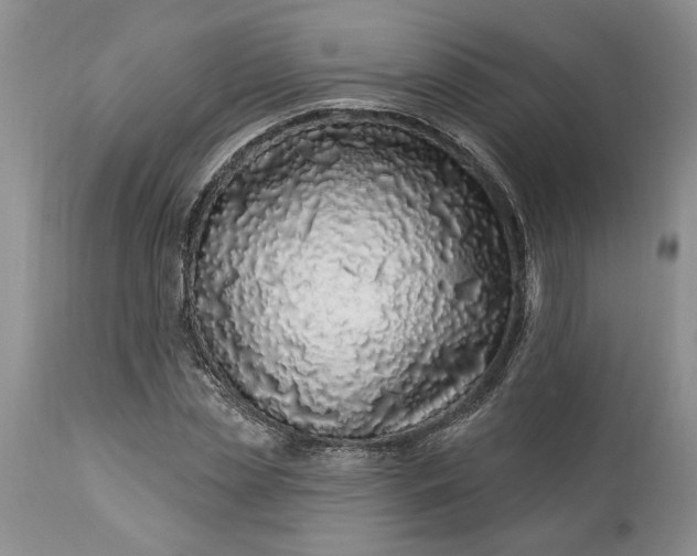 X0000114210829200910231404