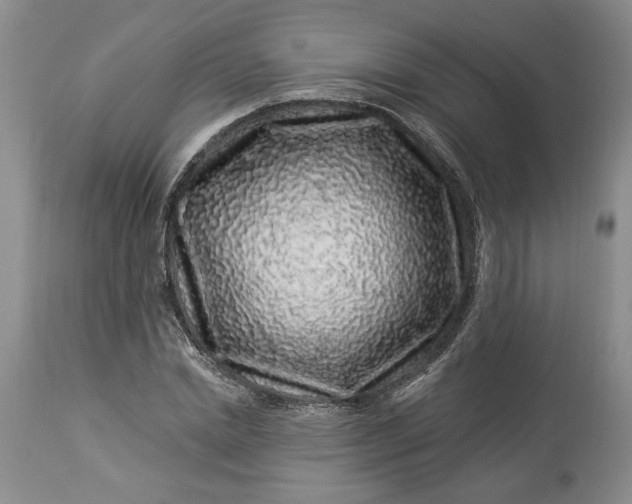 X0000114210830200910231404