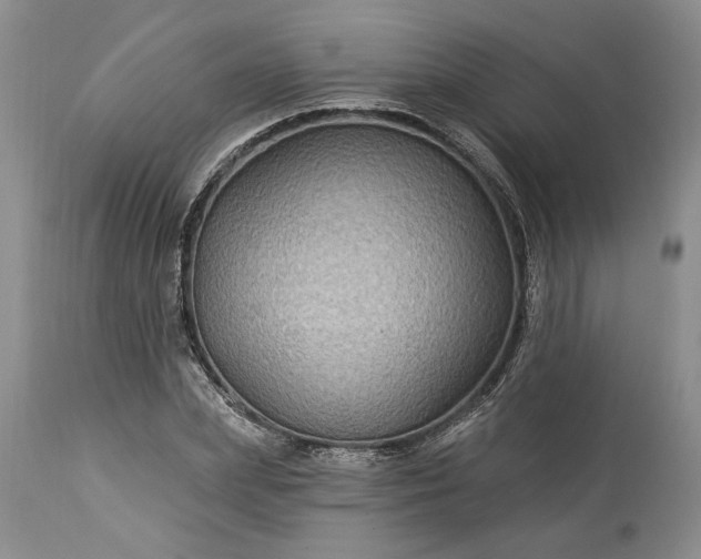 X0000114210831200910231404