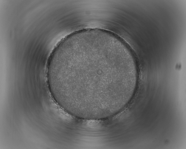 X0000114210832200910231404