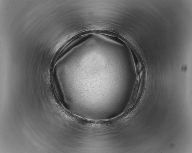 X0000114210834200910231404