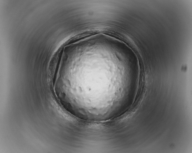 X0000114210835200910231404