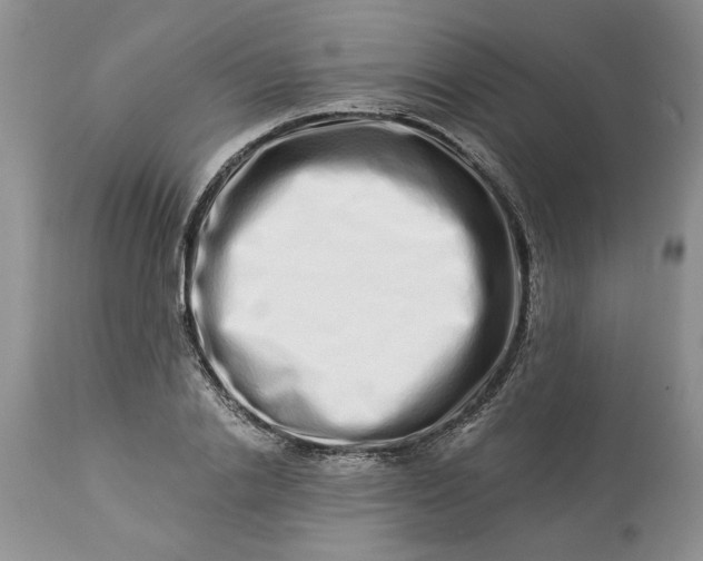 X0000114210838200910231404