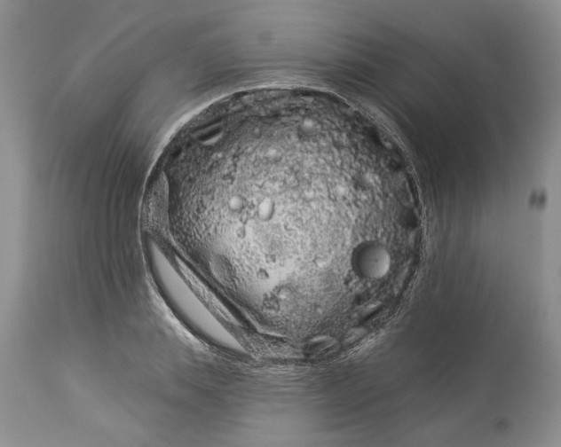 X0000114210839200910231404