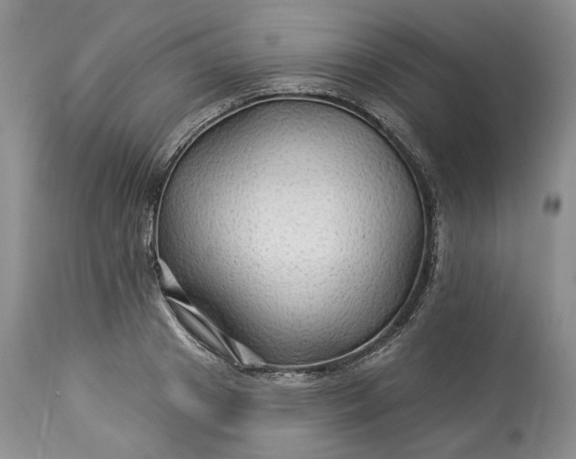 X0000114210841200910231404
