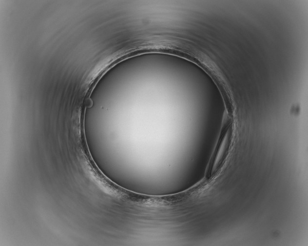 X0000114210842200910231404