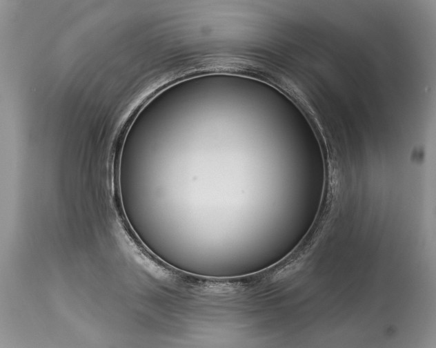 X0000114210843200910231404