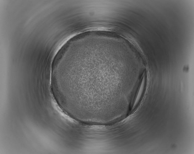 X0000114210844200910231404