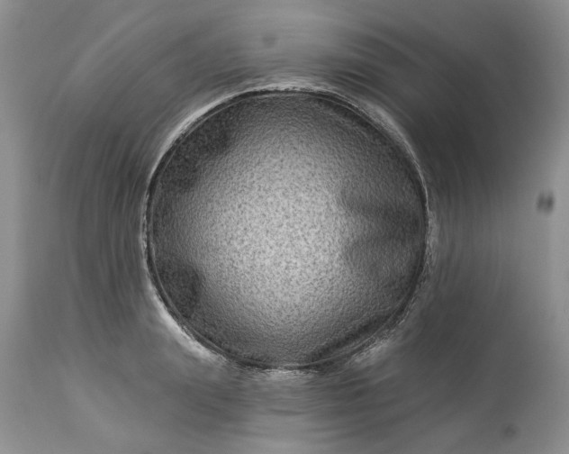 X0000114210847200910231404