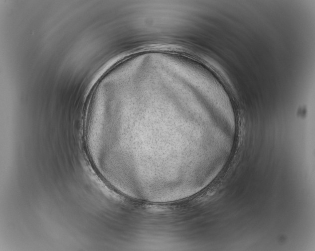 X0000114210852200910231404