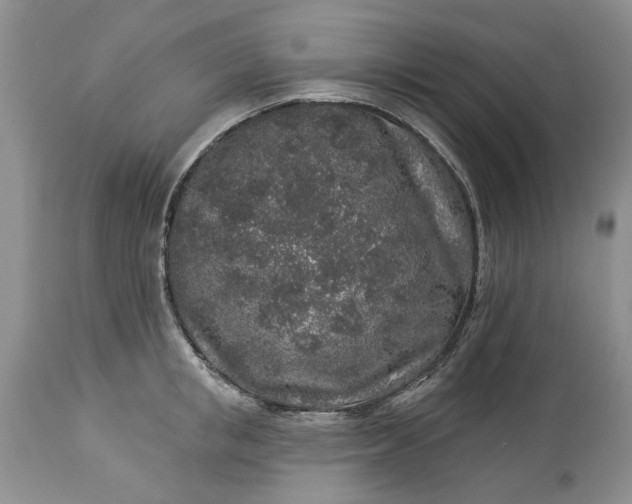 X0000114210853200910231404
