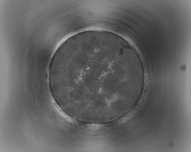 X0000114210854200910231404