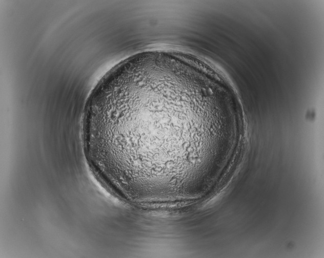 X0000114210855200910231404