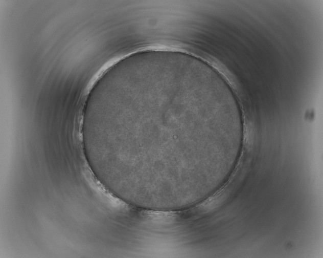 X0000114210856200910231404