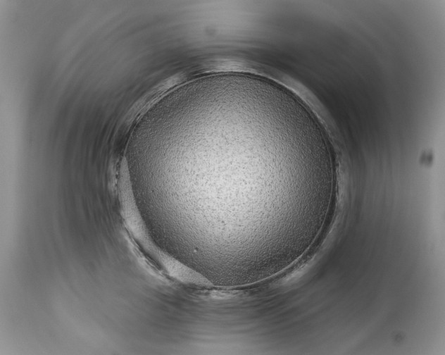 X0000114210857200910231404