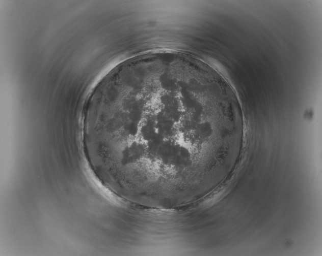 X0000114210859200910231404