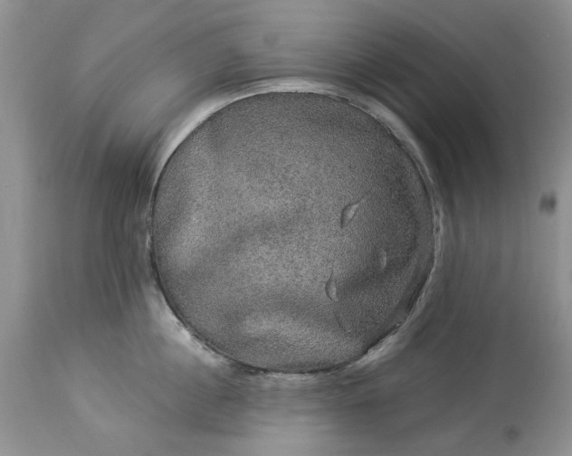 X0000114210860200910231404