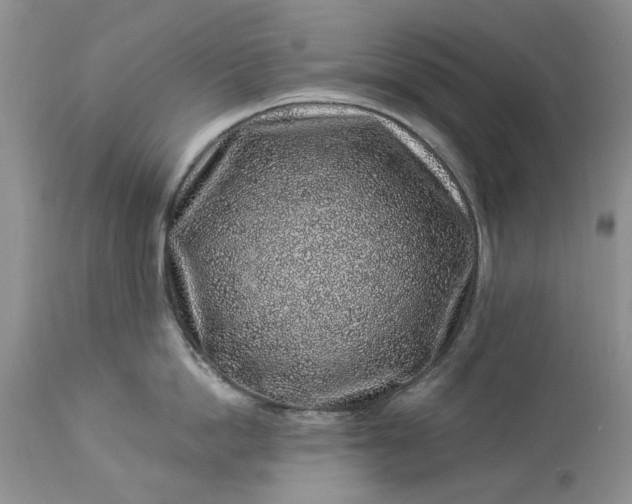 X0000114210862200910231405
