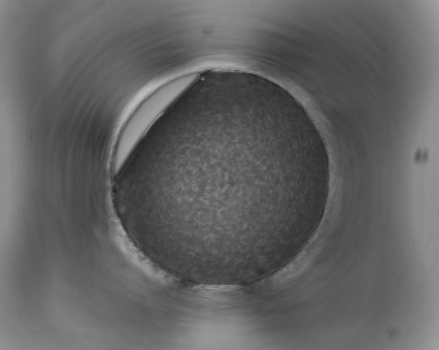 X0000114210864200910231405