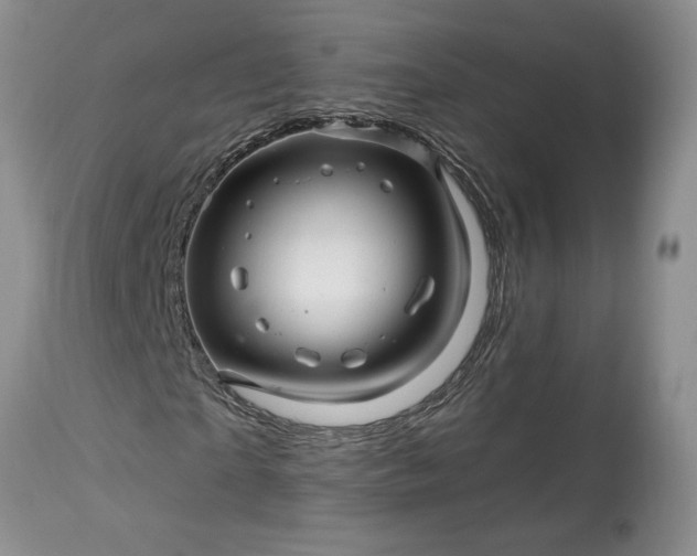 X0000114210865200910231404
