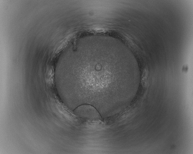 X0000114210866200910231404