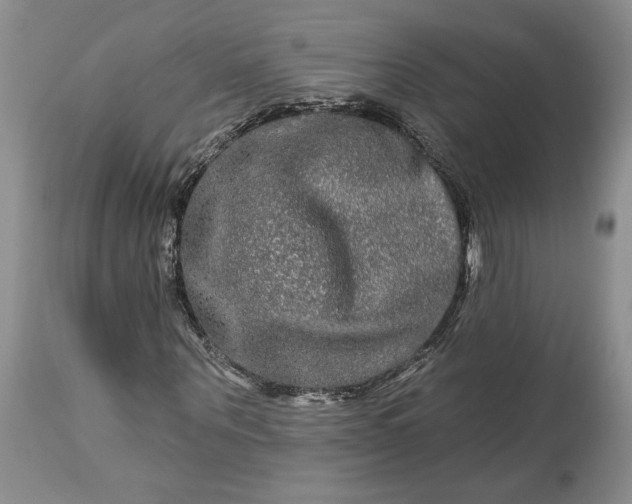 X0000114210867200910231404