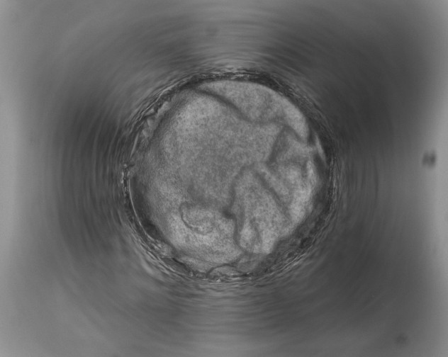 X0000114210868200910231404