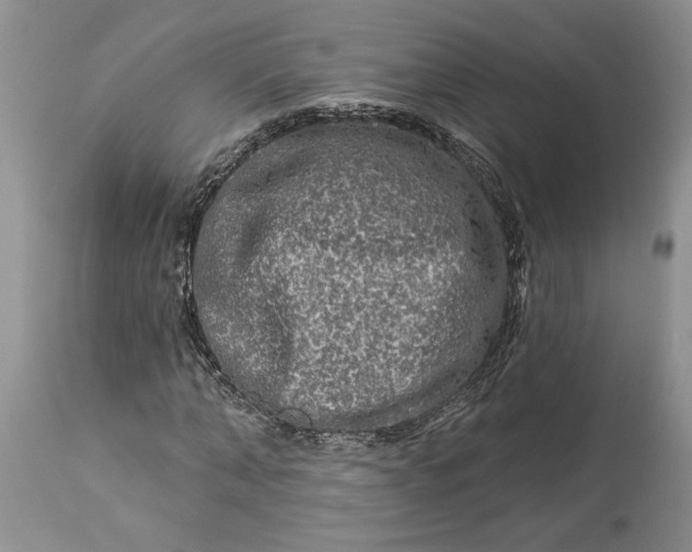 X0000114210870200910231404