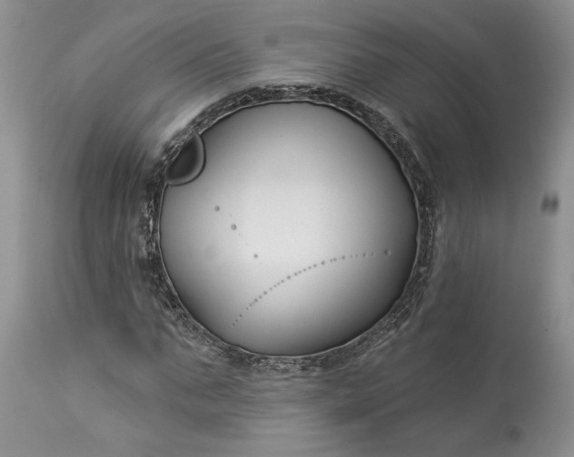 X0000114210871200910231404