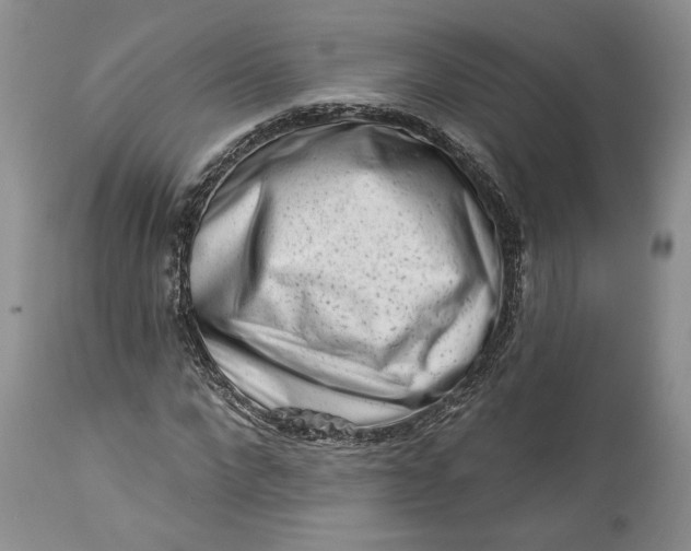 X0000114210872200910231404